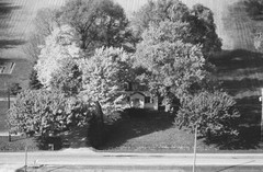 032-glu-33