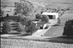 033-glu-02