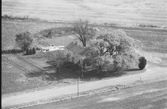 033-glu-11