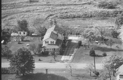 033-glu-19
