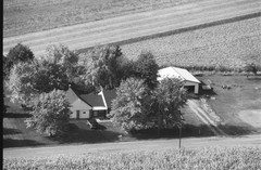 033-glu-22
