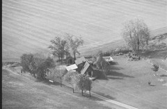 033-glu-24