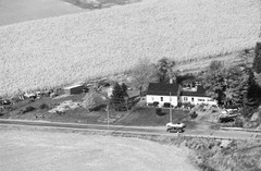 034-glu-15