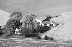 034-glu-16