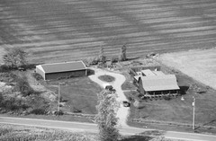 034-glu-19