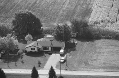 034-glu-31