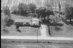 035-glu-01