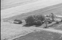 035-glu-06