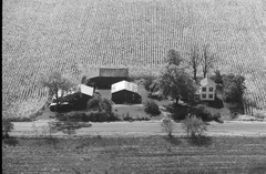 035-glu-15