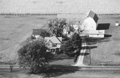 036-glu-08