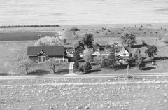 036-glu-09