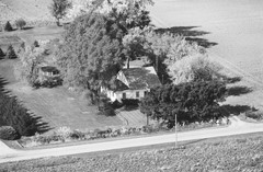 036-glu-15