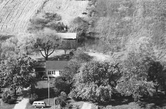 036-glu-16