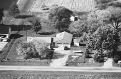 036-glu-17