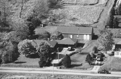 036-glu-19