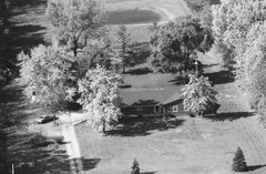 036-glu-20