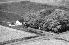 036-glu-28