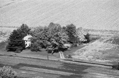 036-glu-31