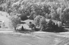 036-glu-35