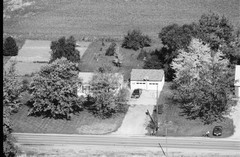 037-glu-31