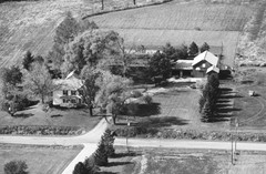 038-glu-13