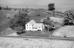 038-glu-19