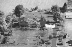 038-glu-24