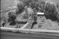 039-glu-11