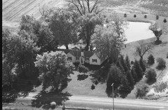 039-glu-19