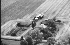 039-glu-20