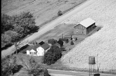 039-glu-28