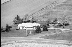 039-glu-33