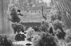 040-glu-15