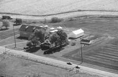 040-glu-17