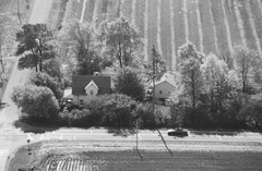040-glu-20