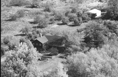 041-glu-06