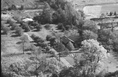 041-glu-07