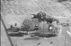041-glu-08