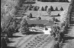 041-glu-11