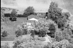 041-glu-17