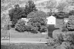 041-glu-19