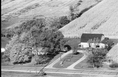 041-glu-26