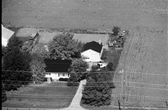 041-glu-31