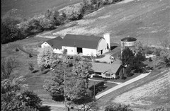 041-glu-36