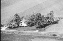 043-glu-16