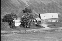 043-glu-17