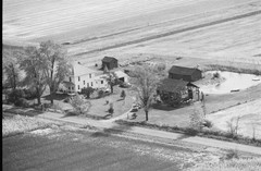 043-glu-19