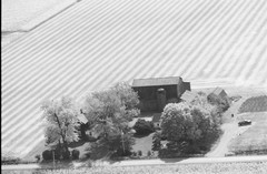 043-glu-20