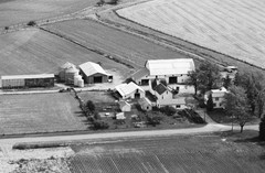 044-glu-11