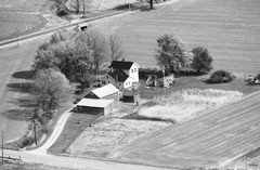 044-glu-17